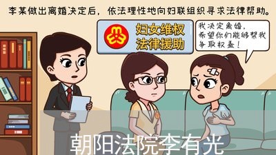 朝阳法院李有光