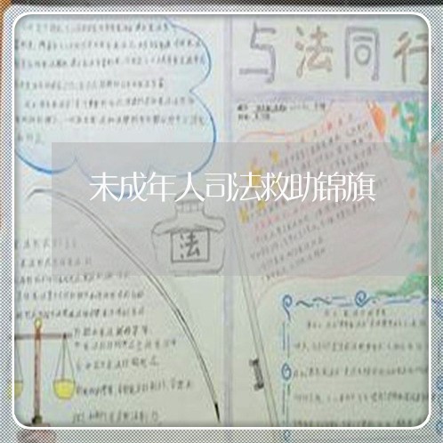 未成年人司法救助锦旗