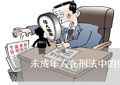 未成年人在刑法中的保护 未成年人在刑法中的保护