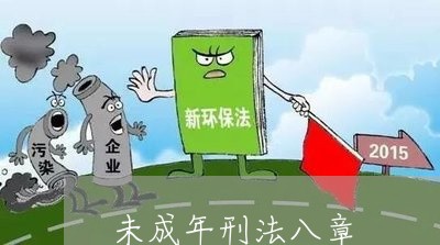 未成年刑法八章