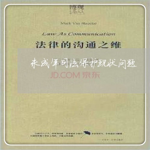 未成年司法保护现状问题 未成年司法保护现状问题