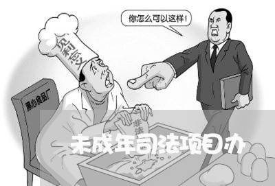 未成年司法项目办