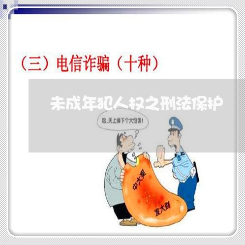 未成年犯人权之刑法保护 未成年犯人权之刑法保护