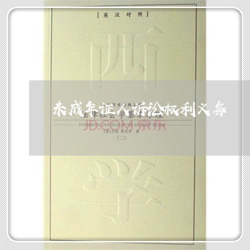 未成年证人诉讼权利义务 未成年证人诉讼权利义务