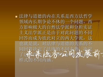 未来法务公司发展前景分析 未来法务公司发展前景分析