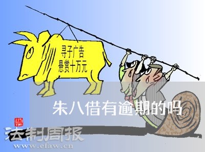 朱八借有逾期的吗