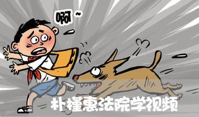 朴槿惠法院学视频 朴槿惠法院学视频