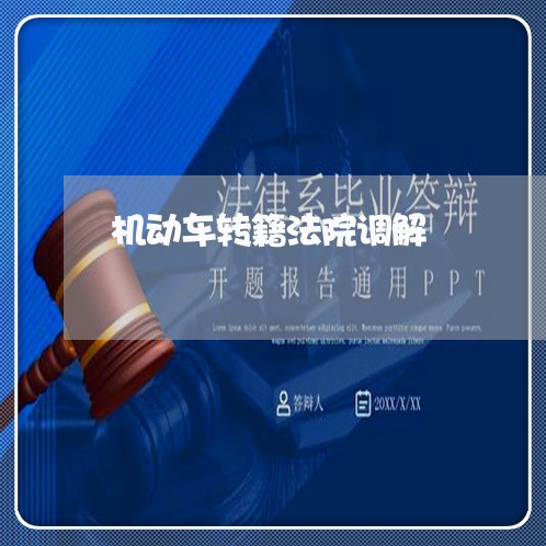 机动车转籍法院调解