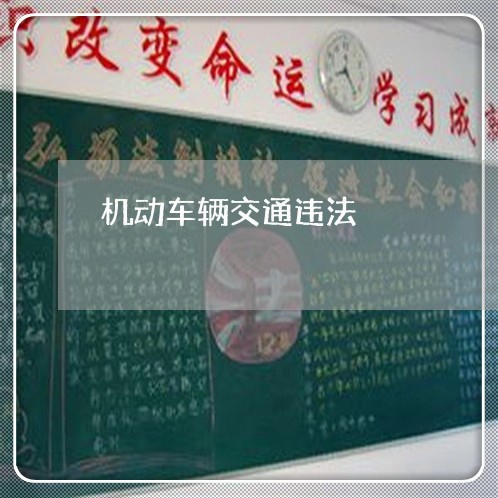 机动车辆交通违法 机动车辆交通违法