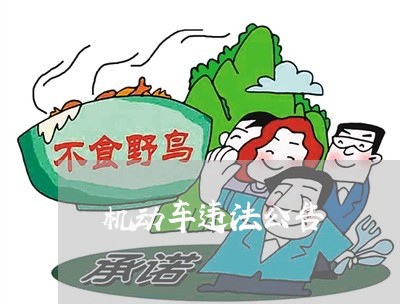 机动车违法公告 机动车违法公告