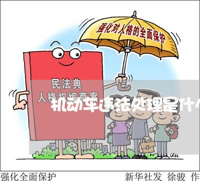 机动车违法处理是什么情况