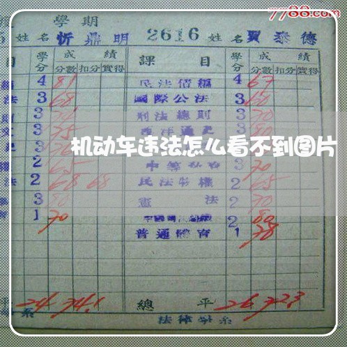 机动车违法怎么看不到图片 机动车违法怎么看不到图片