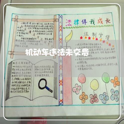 机动车违法未交费 机动车违法未交费