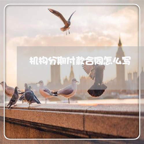 机构分期付款合同怎么写/2023022674157