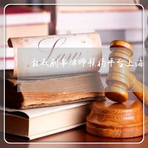 权威刑事律师预约平台上海/2023060961284