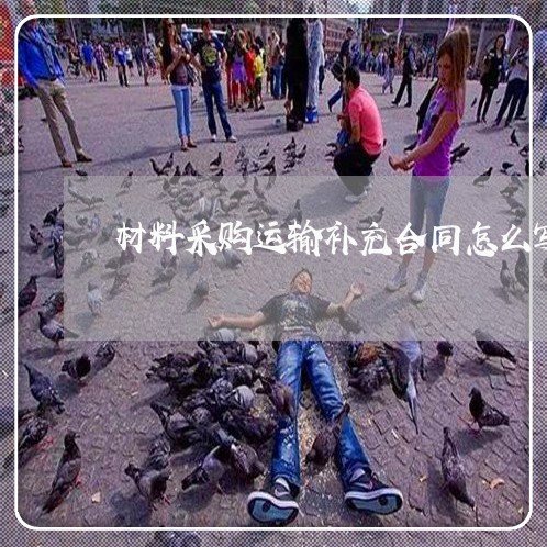 材料采购运输补充合同怎么写/2023011741601 材料采购运输补充合同怎么写/2023011741601