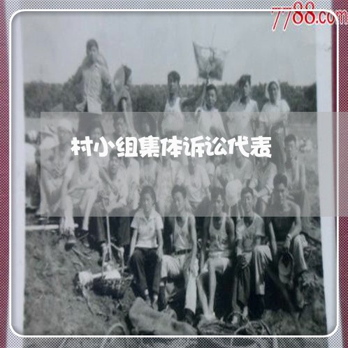 村小组集体诉讼代表 村小组集体诉讼代表