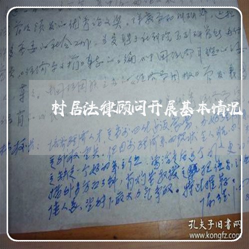 村居法律顾问开展基本情况/2023061972592