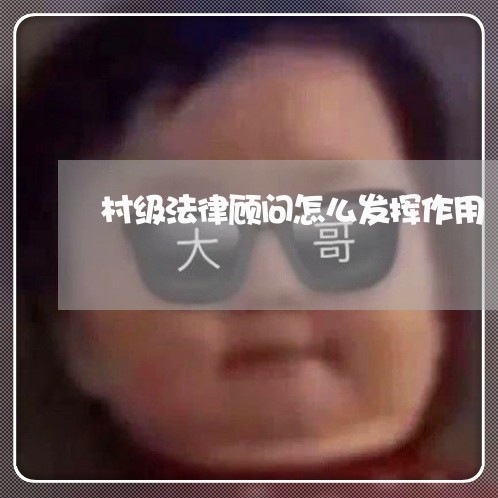 村级法律顾问怎么发挥作用/2023061825946