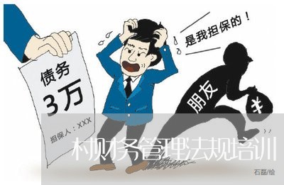 村财务管理法规培训