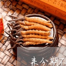 来分期不用支付宝还款 来分期不用支付宝还款