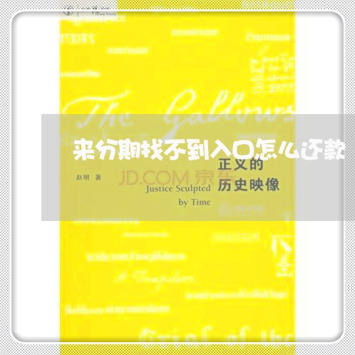 来分期找不到入口怎么还款