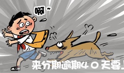来分期逾期40天要上门 来分期逾期40天要上门