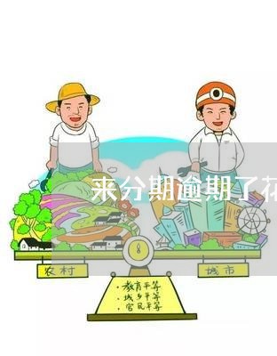 来分期逾期了花呗可以用吗/2023100552814