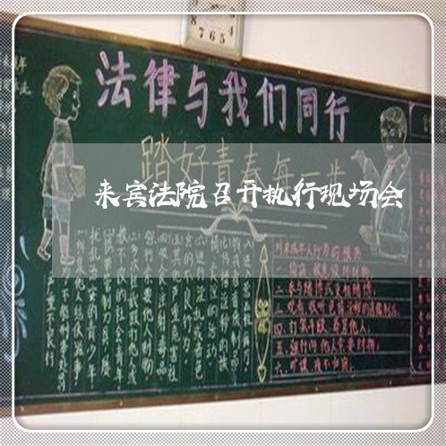 来宾法院召开执行现场会