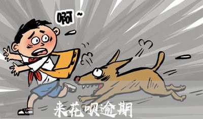 来花呗逾期