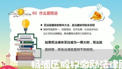 杨浦区股权激励法律顾问/2023061925048