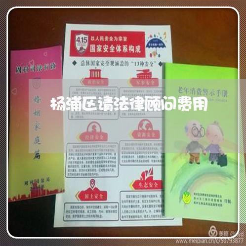 杨浦区请法律顾问费用/2023061906027 杨浦区请法律顾问费用/2023061906027