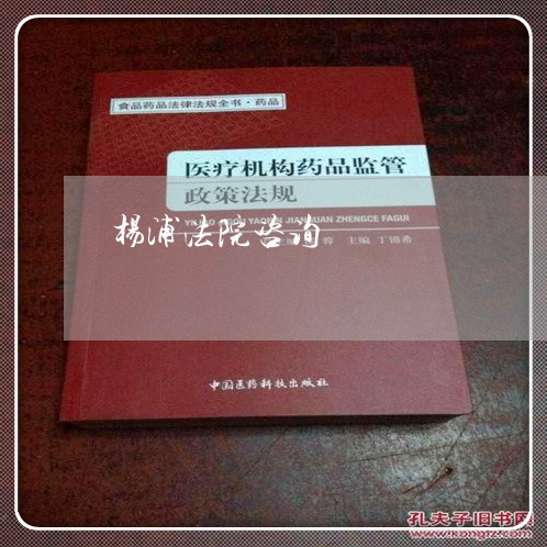 杨浦法院咨询