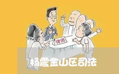 杨震金山区司法