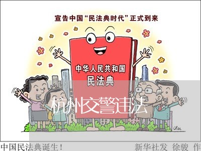 杭州交警违法査 杭州交警违法査
