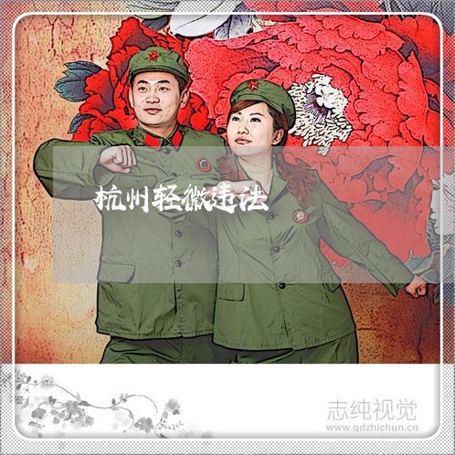 杭州轻微违法