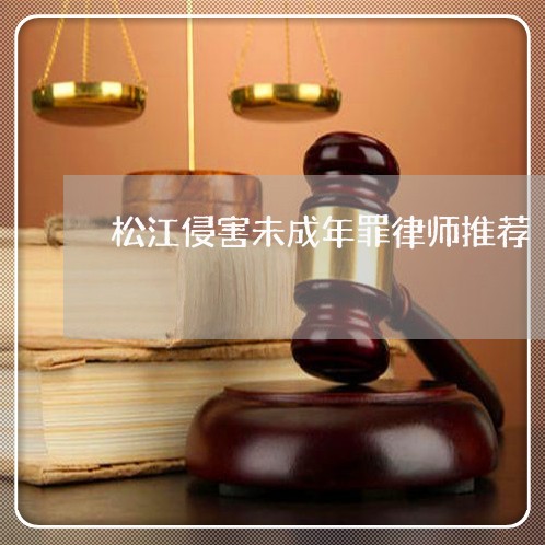 松江侵害未成年罪律师推荐