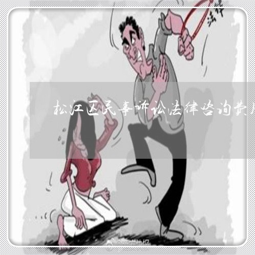 松江区民事诉讼法律咨询费用 松江区民事诉讼法律咨询费用