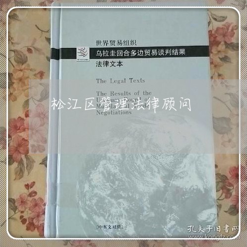 松江区管理法律顾问 松江区管理法律顾问