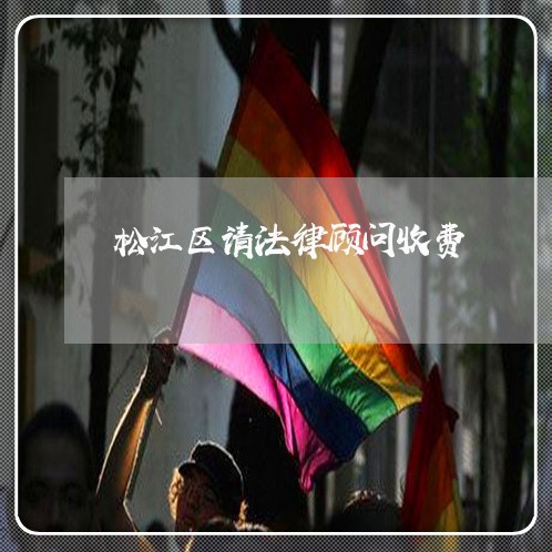 松江区请法律顾问收费/2023061881602