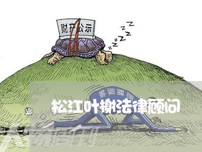 松江叶榭法律顾问/2023061793826