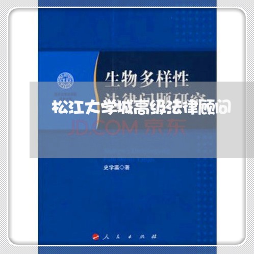 松江大学城高级法律顾问/2023061983926