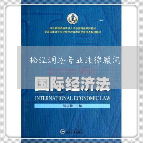 松江洞泾专业法律顾问/2023061838504
