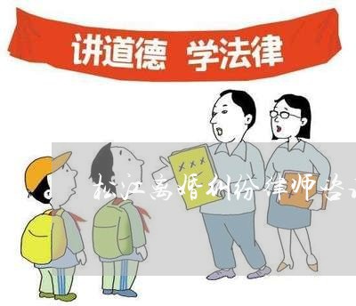 松江离婚纠纷律师咨询服务