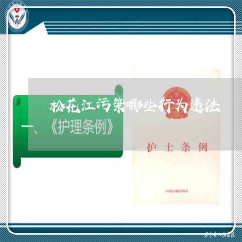 松花江污染哪些行为违法