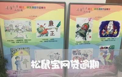 松鼠宝网贷逾期