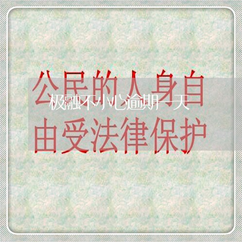 极融不小心逾期一天/2023022460717 极融不小心逾期一天/2023022460717