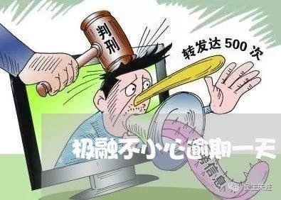 极融不小心逾期一天/2023061856269