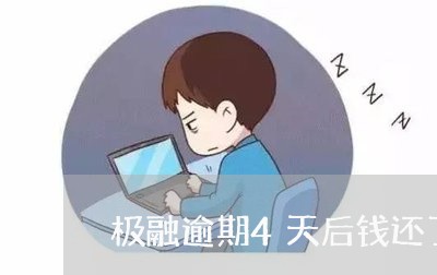 极融逾期4天后钱还了/2023120836049