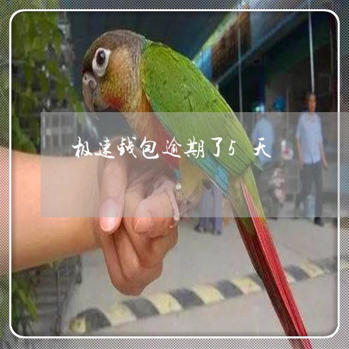 极速钱包逾期了5天 极速钱包逾期了5天